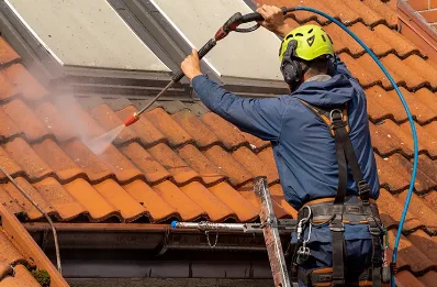 Démoussage et hydrofuge de toiture à Bonas